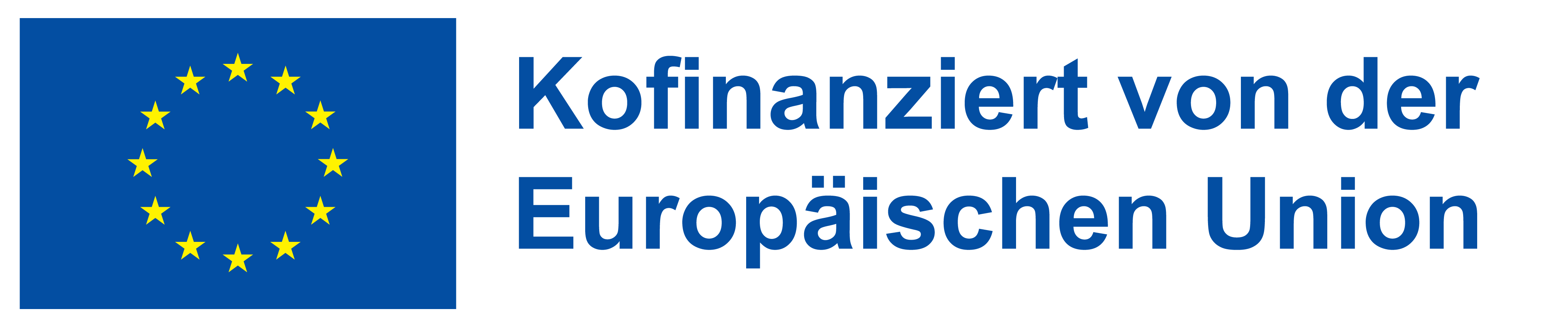 Europafahne, daneben Text in blauer Schrift: Kofinanziert von der Europäischen Union
